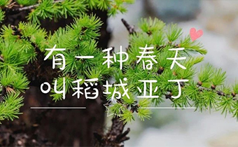 There is a kind of spring called Daocheng Yading
							
							